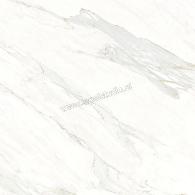  Ragno Incanto Calacatta Essenza 120x120 cm Vloertegel / Wandtegel Mat Vlak Naturale RCFD | 367492