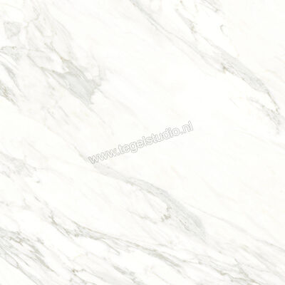  Ragno Incanto Calacatta Essenza 120x120 cm Vloertegel / Wandtegel Mat Vlak Naturale RCFD | 367507