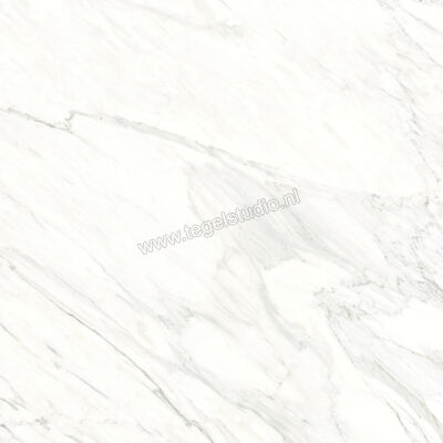  Ragno Incanto Calacatta Essenza 120x120 cm Vloertegel / Wandtegel Glanzend Vlak Naturale RCF9 | 367549