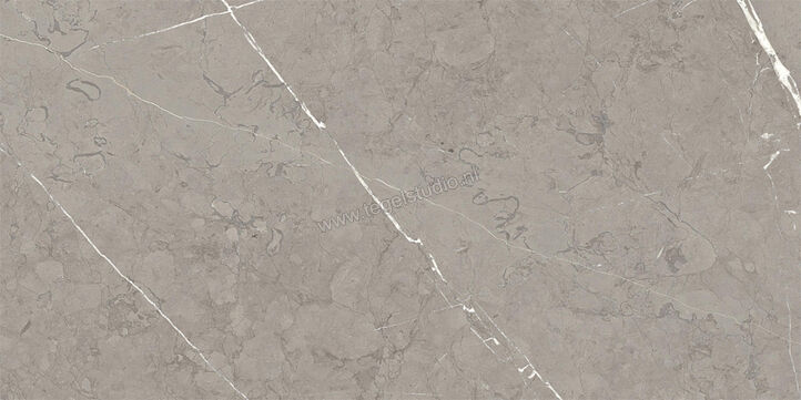  Ragno Incanto Velvet Taupe 30x60 cm Vloertegel / Wandtegel Glanzend Vlak Naturale RACM | 367678