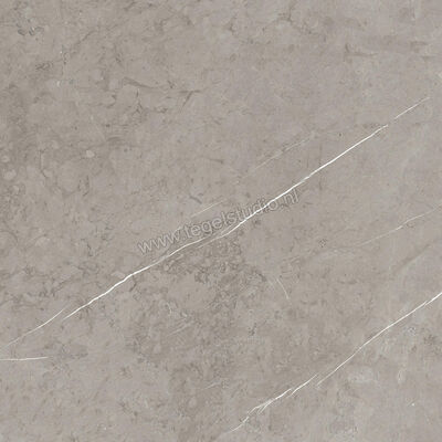  Ragno Incanto Velvet Taupe 75x75 cm Vloertegel / Wandtegel Glanzend Vlak Naturale RAC4 | 367870