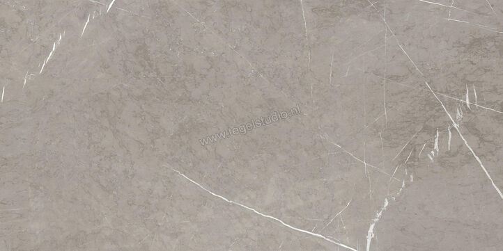  Ragno Incanto Velvet Taupe 75x150 cm Vloertegel / Wandtegel Glanzend Vlak Naturale RAAY | 367966