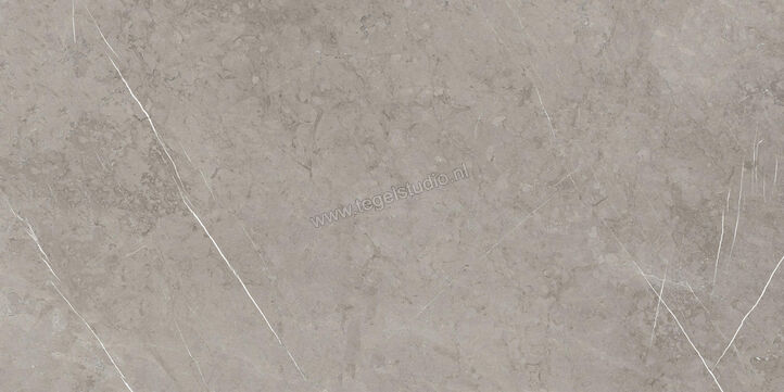  Ragno Incanto Velvet Taupe 75x150 cm Vloertegel / Wandtegel Glanzend Vlak Naturale RAAY | 367978