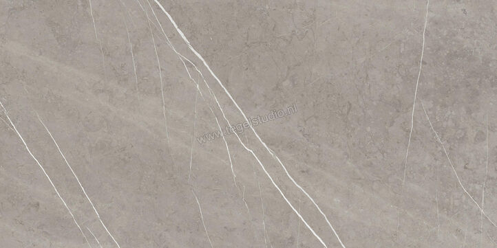  Ragno Incanto Velvet Taupe 75x150 cm Vloertegel / Wandtegel Glanzend Vlak Naturale RAAY | 367981