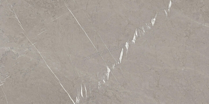  Ragno Incanto Velvet Taupe 60x120 cm Vloertegel / Wandtegel Mat Vlak Naturale RAAU | 368041