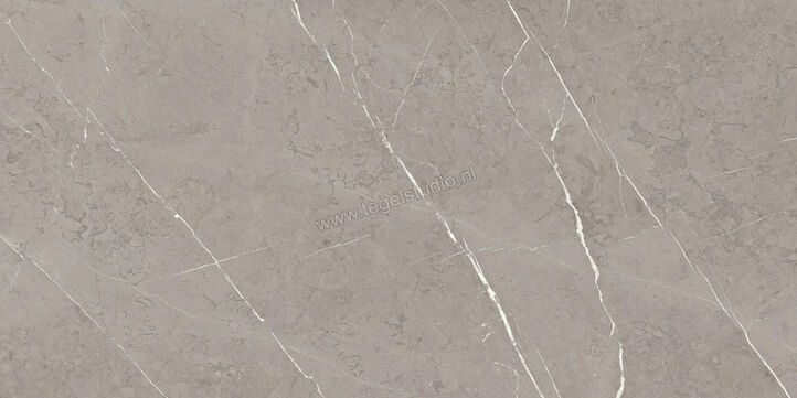  Ragno Incanto Velvet Taupe 60x120 cm Vloertegel / Wandtegel Glanzend Vlak Naturale RAAS | 368068