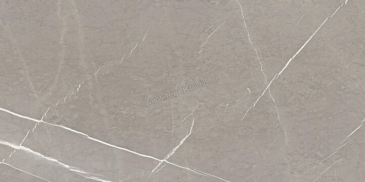  Ragno Incanto Velvet Taupe 60x120 cm Vloertegel / Wandtegel Glanzend Vlak Naturale RAAS | 368074