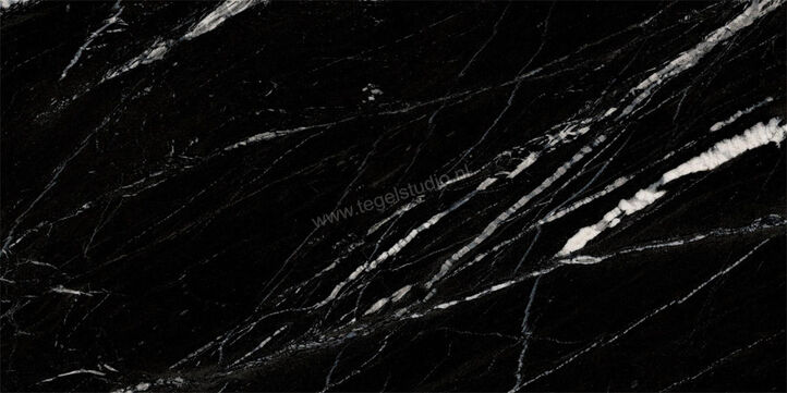  Ragno Incanto Sky Black 30x60 cm Vloertegel / Wandtegel Glanzend Vlak Naturale R91R | 368275
