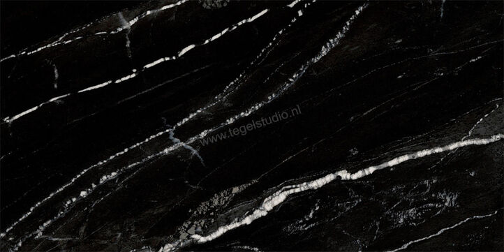 Ragno Incanto Sky Black 30x60 cm Vloertegel / Wandtegel Glanzend Vlak Naturale R91R | 368287