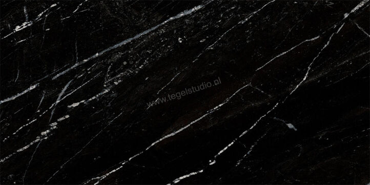 Ragno Incanto Sky Black 30x60 cm Vloertegel / Wandtegel Glanzend Vlak Naturale R91R | 368293