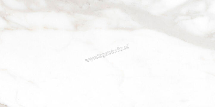  Ragno Incanto Calacatta Nobile 30x60 cm Vloertegel / Wandtegel Glanzend Vlak Naturale R91L | 368401