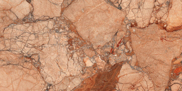  Ragno Incanto Breccia Pernice 30x60 cm Vloertegel / Wandtegel Glanzend Vlak Naturale R91G | 368488