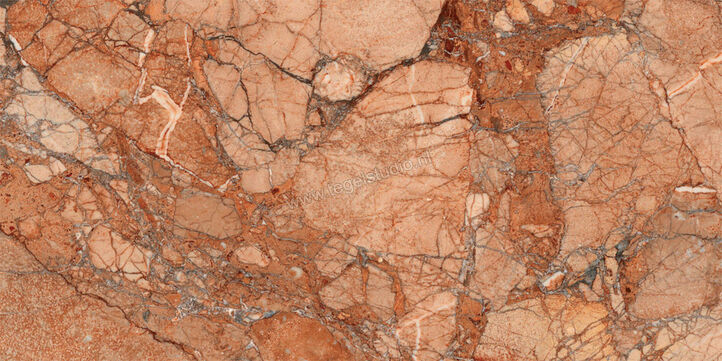  Ragno Incanto Breccia Pernice 30x60 cm Vloertegel / Wandtegel Glanzend Vlak Naturale R91G | 368494