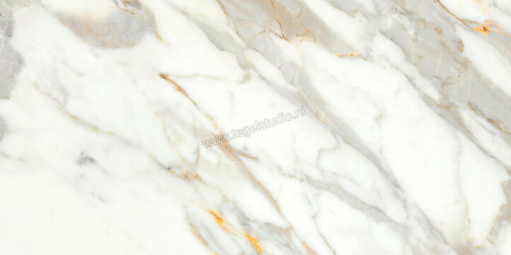  Ragno Incanto Calacatta Michelangelo 30x60 cm Vloertegel / Wandtegel Glanzend Vlak Naturale R91D | 368596