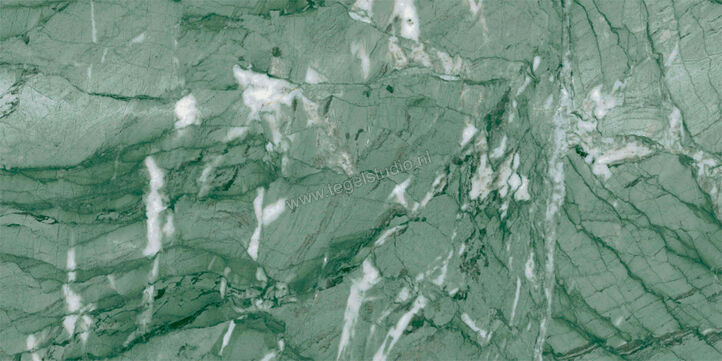  Ragno Incanto Verde Antigua 30x60 cm Vloertegel / Wandtegel Mat Vlak Naturale R90Y | 368653