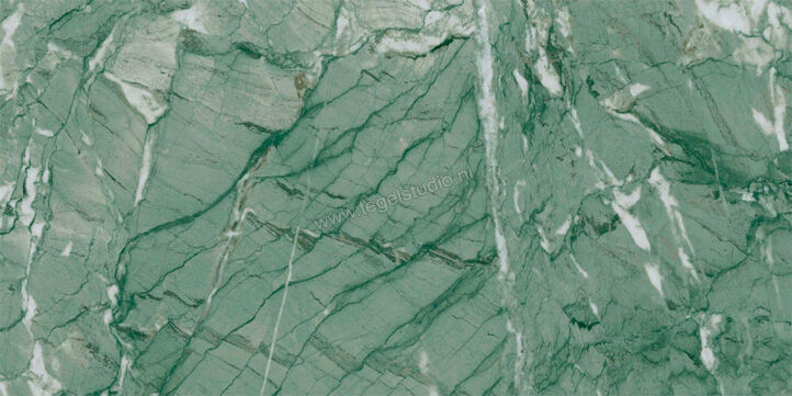  Ragno Incanto Verde Antigua 30x60 cm Vloertegel / Wandtegel Mat Vlak Naturale R90Y | 368662