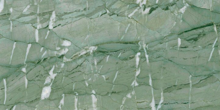  Ragno Incanto Verde Antigua 30x60 cm Vloertegel / Wandtegel Mat Vlak Naturale R90Y | 368665