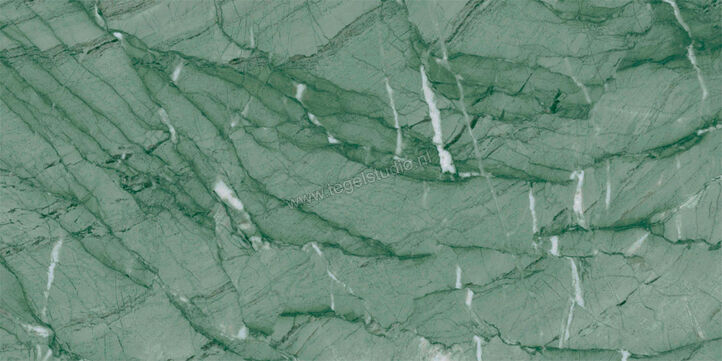  Ragno Incanto Verde Antigua 30x60 cm Vloertegel / Wandtegel Mat Vlak Naturale R90Y | 368671