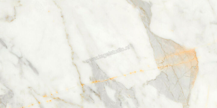  Ragno Incanto Calacatta Michelangelo 30x60 cm Vloertegel / Wandtegel Mat Vlak Naturale R90P | 368857
