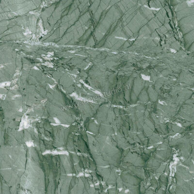 Ragno Incanto Verde Antigua 60x60 cm Vloertegel / Wandtegel Glanzend Vlak Naturale R90K | 368917
