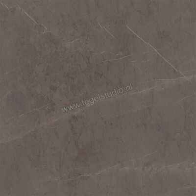  Ragno Incanto Grafite 60x60 cm Vloertegel / Wandtegel Glanzend Vlak Naturale R90E | 369049