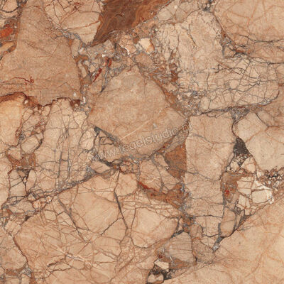  Ragno Incanto Breccia Pernice 60x60 cm Vloertegel / Wandtegel Glanzend Vlak Naturale R90C | 369082