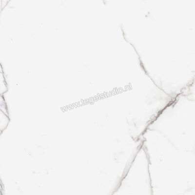  Ragno Incanto Statuario Venato 60x60 cm Vloertegel / Wandtegel Mat Vlak Naturale R8ZU | 369286