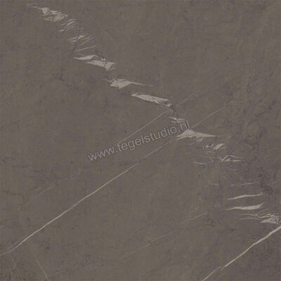 Ragno Incanto Grafite 60x60 cm Vloertegel / Wandtegel Mat Vlak Naturale R8ZR | 369319