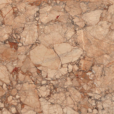  Ragno Incanto Breccia Pernice 60x60 cm Vloertegel / Wandtegel Mat Vlak Naturale R8ZP | 369370