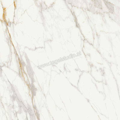  Ragno Incanto Calacatta Michelangelo 75x75 cm Vloertegel / Wandtegel Mat Vlak Naturale R8ZE | 369553