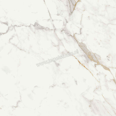  Ragno Incanto Calacatta Michelangelo 75x75 cm Vloertegel / Wandtegel Mat Vlak Naturale R8ZE | 369565