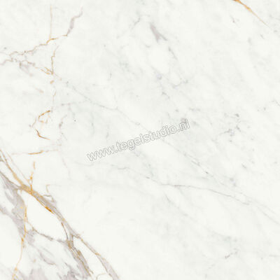  Ragno Incanto Calacatta Michelangelo 75x75 cm Vloertegel / Wandtegel Mat Vlak Naturale R8ZE | 369571