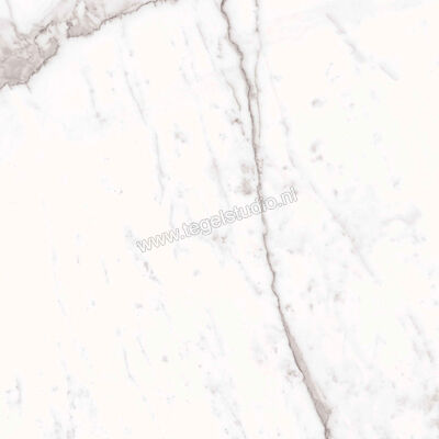  Ragno Incanto Statuario Venato 75x75 cm Vloertegel / Wandtegel Mat Vlak Naturale R8UF | 370249