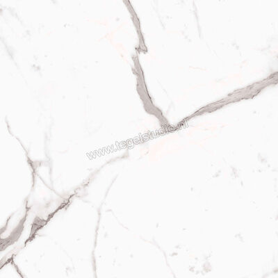  Ragno Incanto Statuario Venato 75x75 cm Vloertegel / Wandtegel Mat Vlak Naturale R8UF | 370252