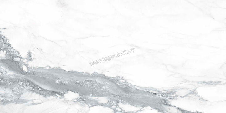  Ragno Incanto Paonazzetto 60x120 cm Vloertegel / Wandtegel Glanzend Vlak Naturale R8TF | 370723