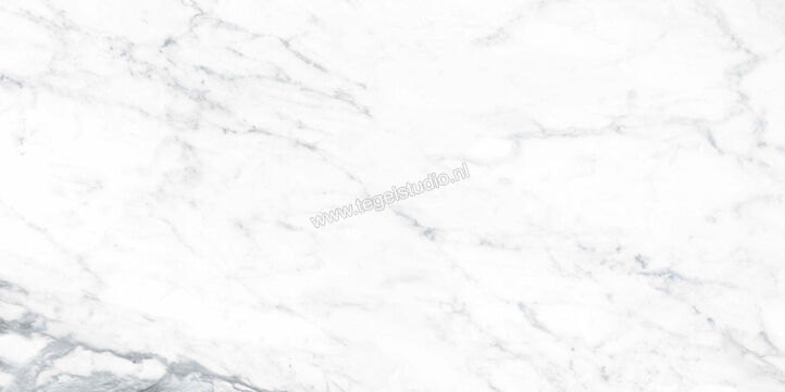  Ragno Incanto Paonazzetto 60x120 cm Vloertegel / Wandtegel Glanzend Vlak Naturale R8TF | 370729