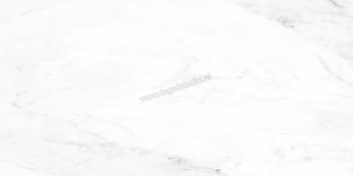  Ragno Incanto Paonazzetto 60x120 cm Vloertegel / Wandtegel Glanzend Vlak Naturale R8TF | 370735