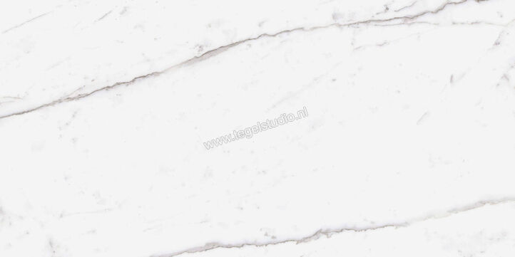  Ragno Incanto Statuario Venato 60x120 cm Vloertegel / Wandtegel Mat Vlak Naturale R8SE | 371059
