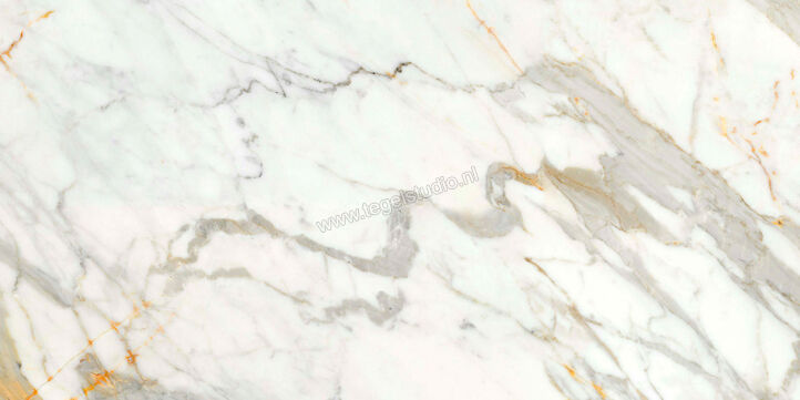  Ragno Incanto Calacatta Michelangelo 60x120 cm Vloertegel / Wandtegel Glanzend Vlak Naturale R8RW | 371257