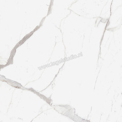  Ragno Incanto Statuario Venato 120x120 cm Vloertegel / Wandtegel Glanzend Vlak Naturale R8QZ | 371386