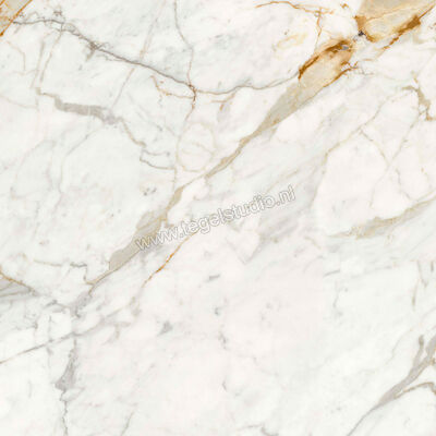  Ragno Incanto Calacatta Michelangelo 120x120 cm Vloertegel / Wandtegel Mat Vlak Naturale R8PJ | 371425
