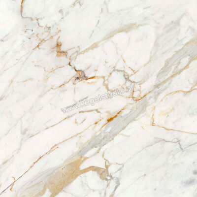  Ragno Incanto Calacatta Michelangelo 120x120 cm Vloertegel / Wandtegel Glanzend Vlak Naturale R8NS | 371683