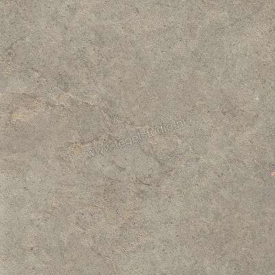  Ragno Richmond Musk 60x60 cm Vloertegel / Wandtegel Mat Vlak Strutturato RCE7 | 372079