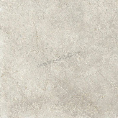  Ragno Richmond Taupe 60x60 cm Vloertegel / Wandtegel Mat Vlak Strutturato RCE5 | 372085