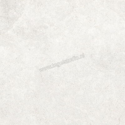  Ragno Richmond Ivory 60x60 cm Vloertegel / Wandtegel Mat Vlak Strutturato RCE4 | 372121