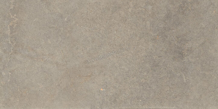  Ragno Richmond Musk 60x120 cm Vloertegel / Wandtegel R10/B Mat Vlak Naturale RALU | 372388