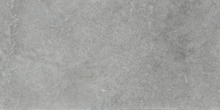  Ragno Richmond Carbon 60x120 cm Vloertegel / Wandtegel R10/B Mat Vlak Naturale RALS | 372436
