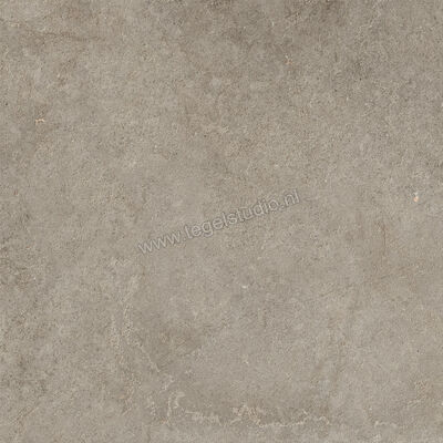 Ragno Richmond Musk 100x100 cm Vloertegel / Wandtegel Mat Vlak Naturale RALN | 372517