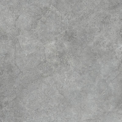  Ragno Richmond Carbon 100x100 cm Vloertegel / Wandtegel Mat Vlak Naturale RALL | 372562
