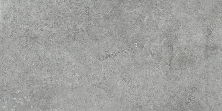  Ragno Richmond Carbon 60x120 cm Vloertegel / Wandtegel Mat Vlak Strutturato RAGJ | 372634